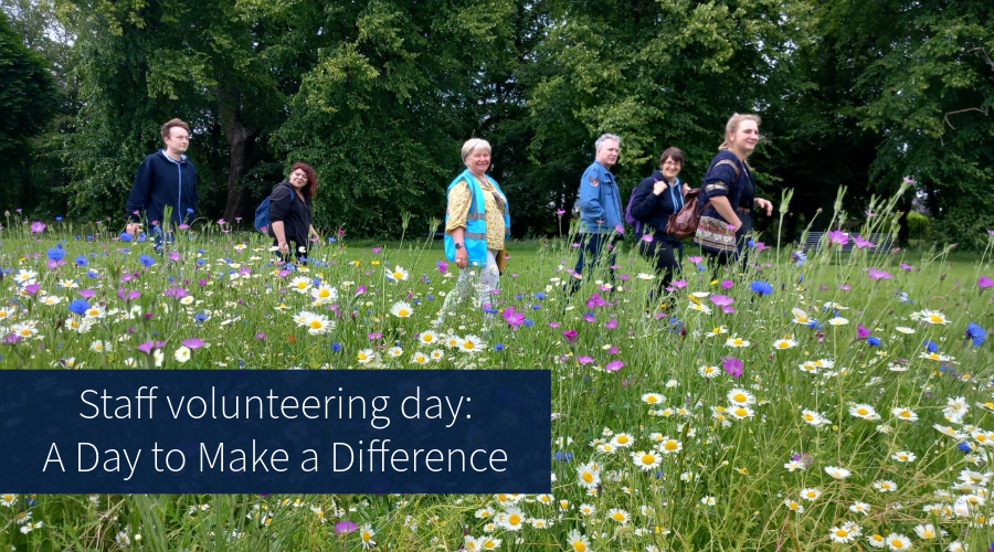 Staff volunteering day: A Day to Make a Difference, volunteers walking through a wildflower meadow